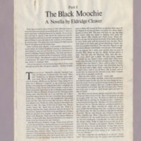 The Black Moochie