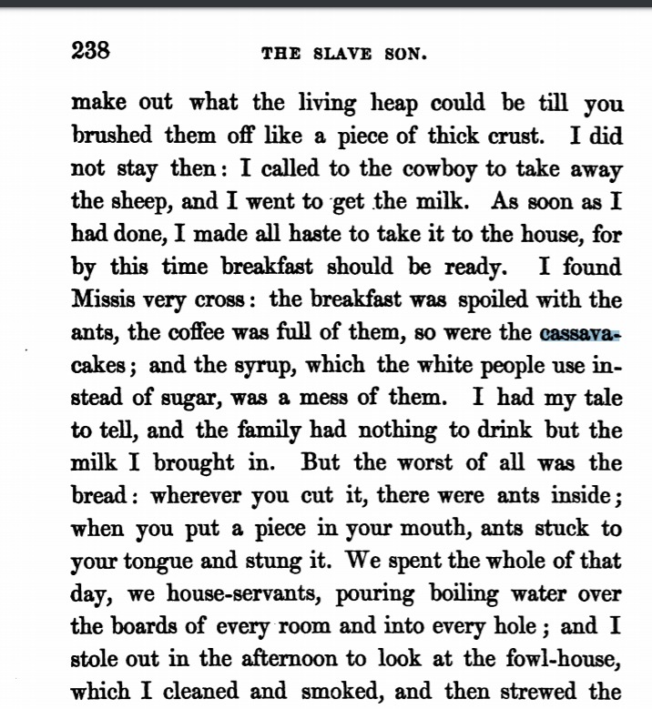 "The Slave Son" Excerpt