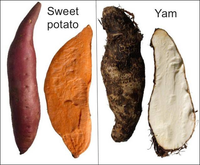 sweet-potato-yam.jpg.638x0_q80_crop-smart.jpg
