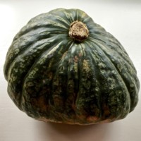 JamaicanPumpkin.jpg